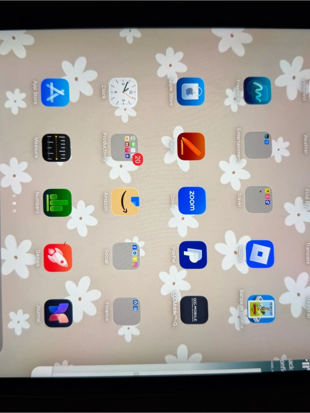 iPad Pro 11 inch 2nd generation